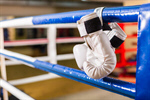 Сlipart active activity boxing competition competitive photo  BillionPhotos