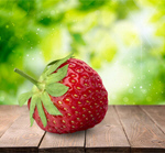 Сlipart Strawberry Red Photography Color Image Horizontal   BillionPhotos