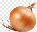 Сlipart Onion Vegetable Food White Ingredient photo cut out BillionPhotos