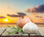 Сlipart onion garlic herbs bulb isolated   BillionPhotos