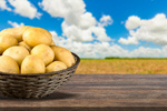 Сlipart potato bag crop vegetable farm   BillionPhotos