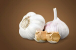 Сlipart garlic white organic fresh food   BillionPhotos
