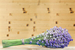 Сlipart lavender bunch photography closeup isolated decoration   BillionPhotos
