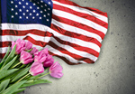 Сlipart day memorial america american backdrop   BillionPhotos