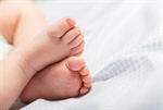 Сlipart Newborn Baby Human Foot Fat Blanket photo  BillionPhotos