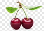 Сlipart Cherry White Backgrounds Fruit Nature photo cut out BillionPhotos