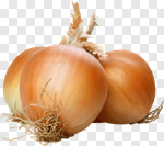 Сlipart Onion Vegetable Yellow Food Cross Section photo cut out BillionPhotos