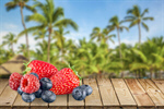 Сlipart Berry Fruit Fruit Strawberry Blueberry Summer   BillionPhotos
