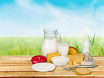 Сlipart Dairy Product Milk Cheese Yogurt Group of Objects   BillionPhotos