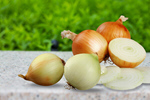 Сlipart garlic onion bulb background food   BillionPhotos