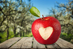 Сlipart Heart Shape Apple Love Healthy Eating Healthy Lifestyle   BillionPhotos