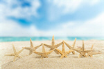 Сlipart starfish ocean beach 2014 tourism   BillionPhotos