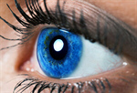 Сlipart Human Eye Eyesight Eyeball Surveillance Close-up photo  BillionPhotos
