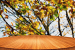 Сlipart autumn background table forest outside   BillionPhotos