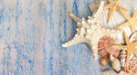 Сlipart Starfish Sea Life Sand White Textured   BillionPhotos