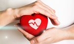 Сlipart Heart Shape Assistance Human Hand Valentine's Day Sharing   BillionPhotos