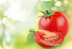Сlipart tomato fruit fresh closeup vegetarian   BillionPhotos