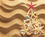 Сlipart christmass tree beach tree shell coast photo  BillionPhotos