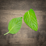 Сlipart leaf mint aroma background balm   BillionPhotos