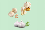 Сlipart garlic fly food group creative   BillionPhotos