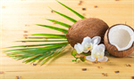 Сlipart Coconut Nut Fruit Exoticism Food photo  BillionPhotos