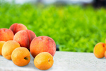 Сlipart apricots agriculture apricot background berries   BillionPhotos
