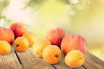 Сlipart apricots agriculture apricot background berries   BillionPhotos