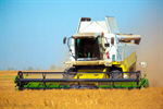 Сlipart Wheat Agriculture Harvesting Crop Combine Harvester photo  BillionPhotos