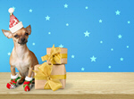 Сlipart christmas dog humour adorable canine   BillionPhotos