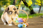 Сlipart easter rabbit spring cute forest   BillionPhotos