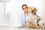 Сlipart dog cat healthcare veterinary animal   BillionPhotos