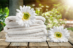 Сlipart Towel Spa Treatment Health Spa Single Flower Daisy   BillionPhotos