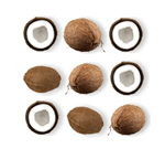 Сlipart coconut pattern abstract abstract background appetizer   BillionPhotos