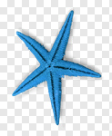 Сlipart star fish starfish white closeup photo cut out BillionPhotos