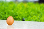 Сlipart egg brown white background chicken   BillionPhotos