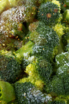 Сlipart broccoli agriculture background closeup cooking   BillionPhotos