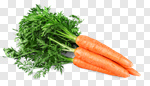 Сlipart Carrot Vegetable Fruit Groceries Freshness photo cut out BillionPhotos