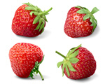 Сlipart Strawberry collection collection strawberry berry delicious   BillionPhotos