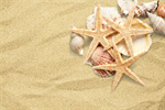 Сlipart Starfish Sea Life Sand White Textured   BillionPhotos