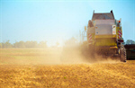 Сlipart harvesting harvest field farm corn photo  BillionPhotos