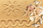 Сlipart Starfish Sea Life Sand White Textured   BillionPhotos