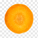 Сlipart Carrot Portion Vegetable Cross Section Isolated photo cut out BillionPhotos