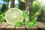 Сlipart lime lemon fruit segment mint   BillionPhotos