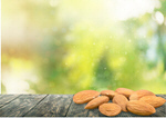 Сlipart almond almonds background beautiful brown   BillionPhotos