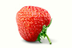 Сlipart Strawberry Red Fruit Single Object fresh fruit   BillionPhotos