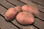 Сlipart potato background white object two   BillionPhotos
