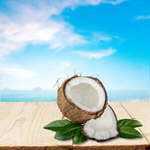 Сlipart Coconut Coco Fruit Leaf Green   BillionPhotos