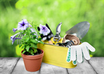 Сlipart Gardening Gardening Equipment Isolated Flower Pot Plant   BillionPhotos