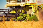 Сlipart Combine Harvester Agriculture Harvesting Agricultural Machinery Machine photo  BillionPhotos