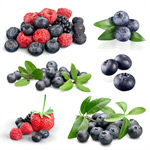 Сlipart Blueberry Fruit Blue Cut Out Berry Fruit   BillionPhotos